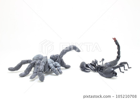 the figure black Scorpion fights the spider the figure black Scorpion fights the spider 105210708