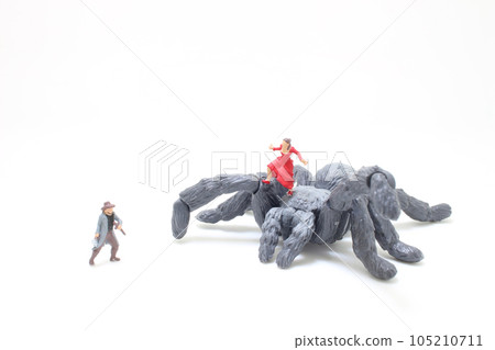 a spider with the sorcerer fights Hero a spider with the sorcerer fights Hero 105210711