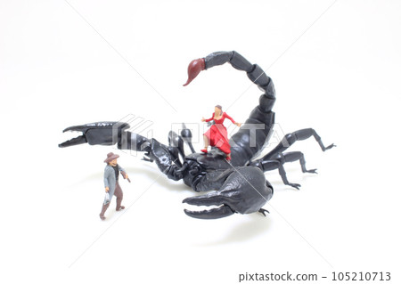 a black Scorpion with the sorcerer fights Hero 105210713