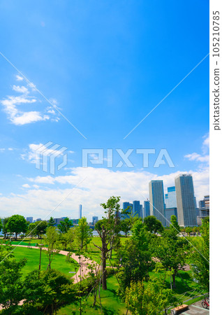 [東京]八月藍天豐洲公園和晴海的都市風景 105210785