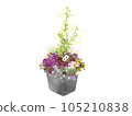 種植在古董盆中的 Heuchera 水彩插圖 105210838