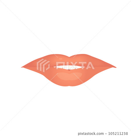 Nude sensual plump lips makeup design icon Nude sensual plump lips makeup design icon 105211238