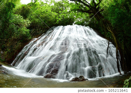 Seo Kannon Mitaki Waterfall on Shimokoshiki Island in summer 105211641
