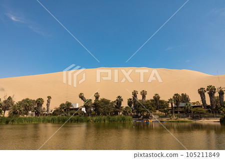 Oasis in the Ica Desert in Peru, South America 105211849