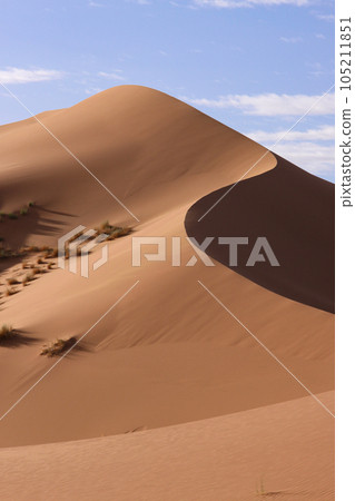 撒哈拉沙漠的大沙丘（垂直 B） 105211851