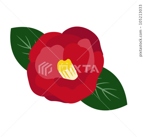 一朵紅山茶花和葉子的插圖 105213033