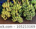 Bunch of cultivated bananas sale at local market in Thailand. 105213169