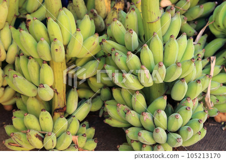 Bunch of cultivated bananas sale at local market in Thailand. 105213170