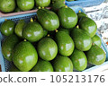Green and fresh avocado for sell in local market. 105213176