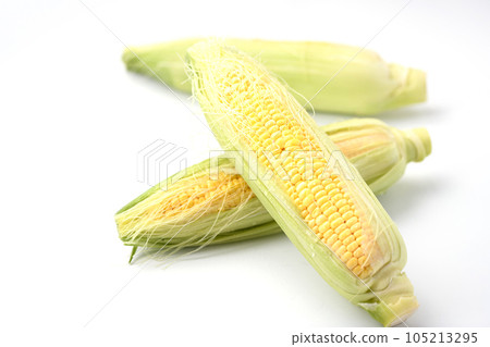 Fresh corn raw peeled (corn) white background 105213295