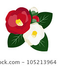 Illustration of red and white camellia 105213964