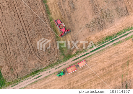 Combine harvester on the wheat field Combine harvester on the wheat field 105214197