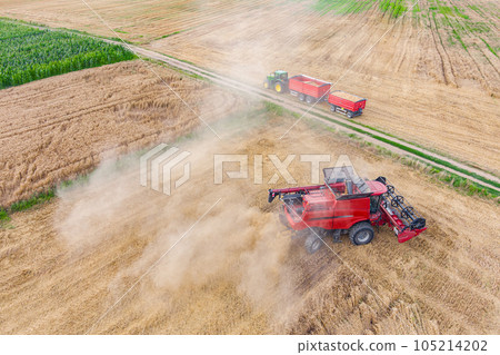 Harvester machine to harvest wheat field working Harvester machine to harvest wheat field working 105214202