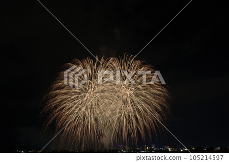 染紅夜空的大花<安倍川花火大會> 染紅夜空的大花<安倍川花火大會> 105214597