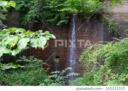 wooden weir wooden weir 105215325