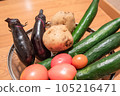 籃子裡的新鮮夏季蔬菜 105216471