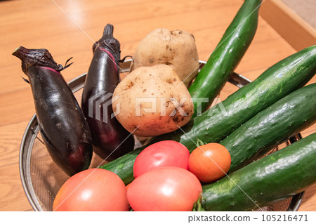 籃子裡的新鮮夏季蔬菜 籃子裡的新鮮夏季蔬菜 105216471