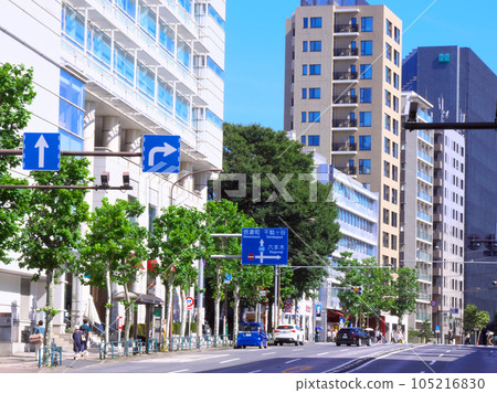 [Shibuya-ku, Tokyo] Summer Hiroo-Gaien Nishi-dori Hiroo Bridge Intersection (July 2023) 105216830
