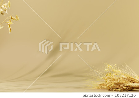 Minimal abstract background for the presentation of products. Natural podium with a shadows of rye and wheat on beige background with bouquet of ears of rye and wheat. Showcase, display case 105217120