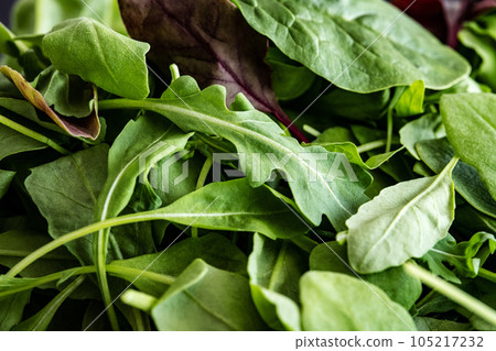 Leaves mix of spinach greens, arugula and basil 105217232