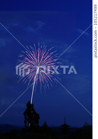 Large fireworks blooming in the night sky 105217499