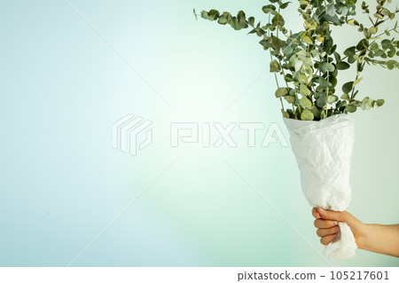 Woman's hand holds a bouquet with eucalyptus branches on a gradient blue background. Eco friendly holiday card with eucalypt bouquet with copy space. Floristic background 105217601