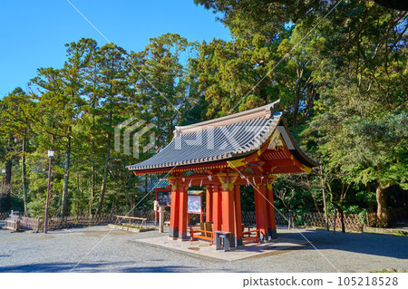 Kamakura city, Kanagawa prefecture in autumn Tsurugaoka Hachimangu shrine 105218528
