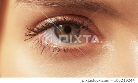 Vision correction. Laser surgery. Sight ophthalmology. Macro of female woman detailed open clear healthy eye with gray brown iris and pupil. 105219244