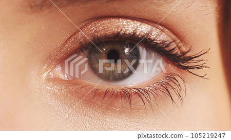 Eye health. Vision care. Eyesight ophthalmology. Macro of female blonde woman gray brown iris pupil shimmering eyelid lashes on radiant face skin. Eye health. Vision care. Eyesight ophthalmology. Macro of female blonde woman gray brown iris pupil shimmering eyelid lashes on radiant face skin. 105219247