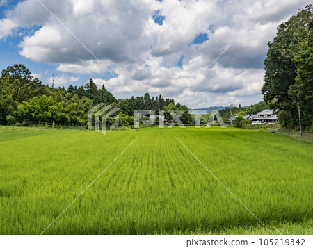 奈良縣張賀別所町的田園風光 105219342