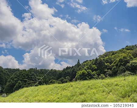 Rural scenery of Harigabessho Town, Nara Prefecture Rural scenery of Harigabessho Town, Nara Prefecture 105219343