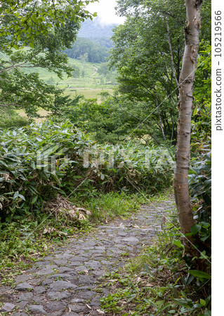 Shiga Takahara Tanohara Mire 105219566