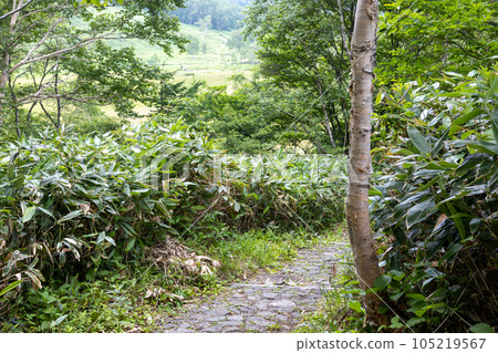 Shiga Takahara Tanohara Mire Shiga Takahara Tanohara Mire 105219567