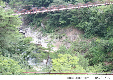 鬼怒川溫泉峽的鬼怒溪谷 105219609