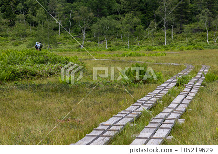 Shiga Takahara Tanohara Mire 105219629