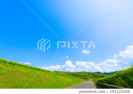 [大阪府]8月：夏日天空下稻穗長大 105220268