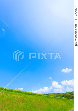 [大阪府]8月：夏日天空下稻穗長大 105220269