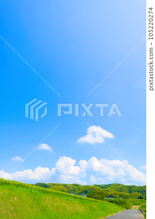 [Osaka Prefecture] August: Ears of rice growing big under the summer sky 105220274