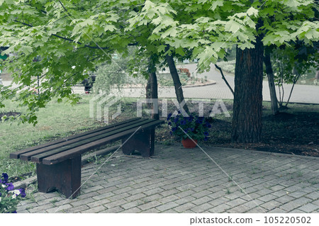 A wooden bench stands on paving slabs under a large maple tree in a nature park. Deciduous maple covers the bench with leaves. High quality photo A wooden bench stands on paving slabs under a large maple tree in a nature park. Deciduous maple covers the bench with leaves. High quality photo 105220502