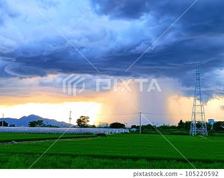 summer downpour 105220592