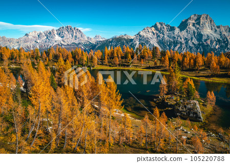 View with lake Federa in the colorful larch forest, Dolomites 105220788