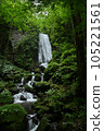 不動瀑布流淌在新綠之中 105221561