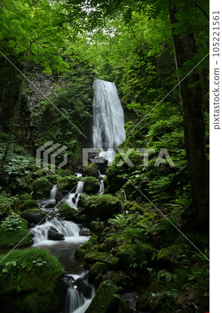 不動瀑布流淌在新綠之中 不動瀑布流淌在新綠之中 105221561