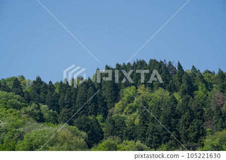 從若狹三方繩文博物館看到的四月風景 105221630