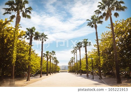 AI image Road with palm trees AI image Road with palm trees 105221913