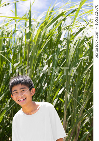 一個微笑的男孩站在甘蔗田裡 一個微笑的男孩站在甘蔗田裡 105222070