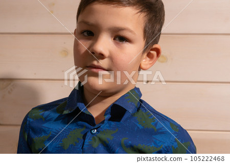 Portrait of a boy 8 years old brunette in a blue shirt. A very serious look. 105222468