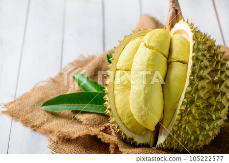 Durian fruit. Ripe monthong durian on sack and white wood background, 105222577