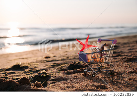 Miniature Shopping Basket Stands On Shore Of Sea At Sunrise, Which Is Washed By Water, In Basket Shells, Starfish And Seahorse. The Concept Of Summer Sale And Buying Ticket. To Summer 105222829