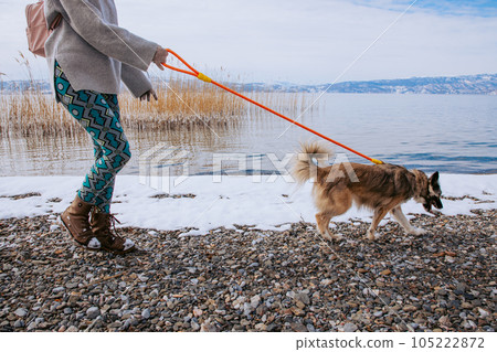 Woman walking her dog on a lake shore in winter Woman walking her dog on a lake shore in winter 105222872